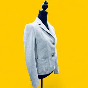 The Academy Preppy Modern Office Work Blazer GAP Mini Striped Soft Blue Blazer 2